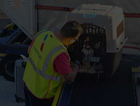 DOG & CAT SHIPPING SERVICES